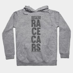 Because Racecars Hoodie